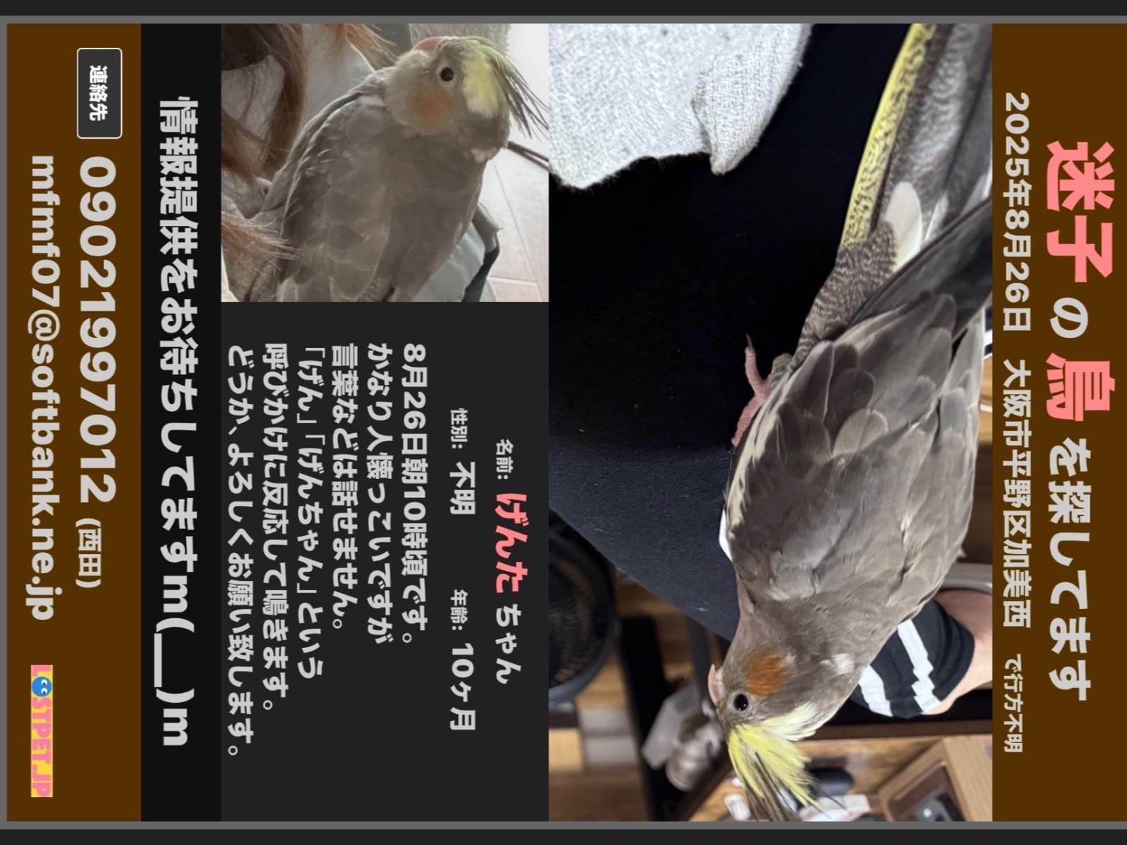 げんたちゃん げんたちゃん