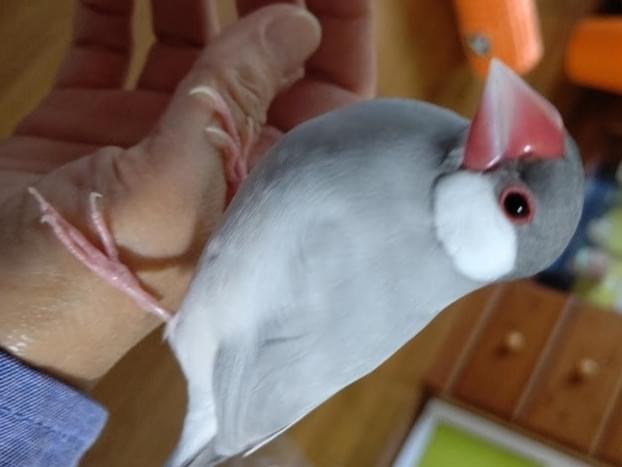 そらちゃん そらちゃん