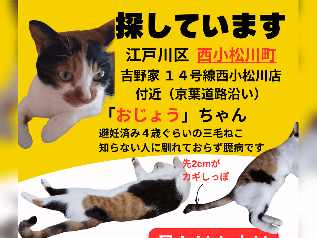 おじょうちゃん おじょうちゃん