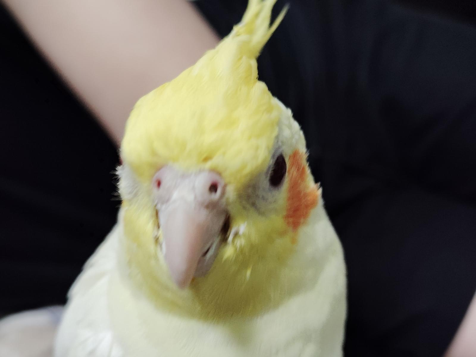 ゆずちゃん ゆずちゃん