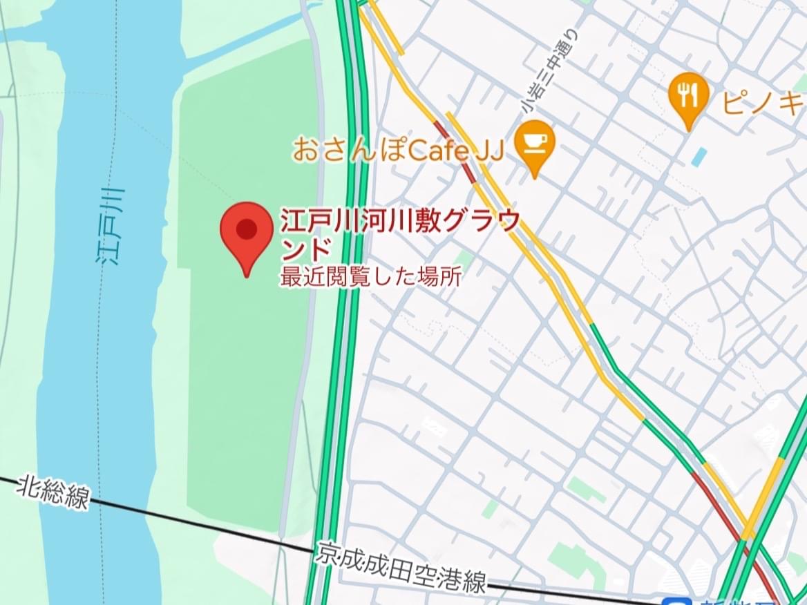 目撃された鳥 目撃された鳥