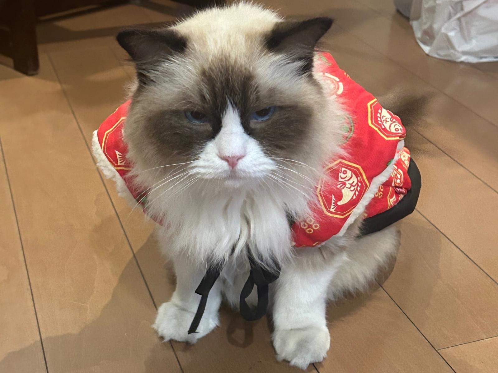 ぽんすけちゃん ぽんすけちゃん