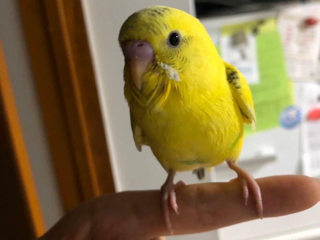 きーちゃん きーちゃん