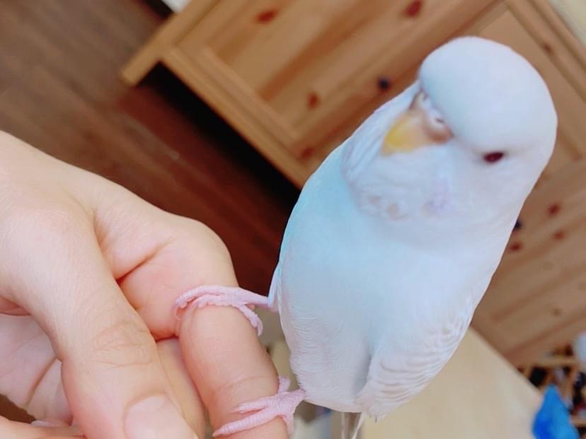 きーちゃん きーちゃん