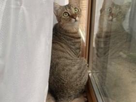 ルルちゃん ルルちゃん