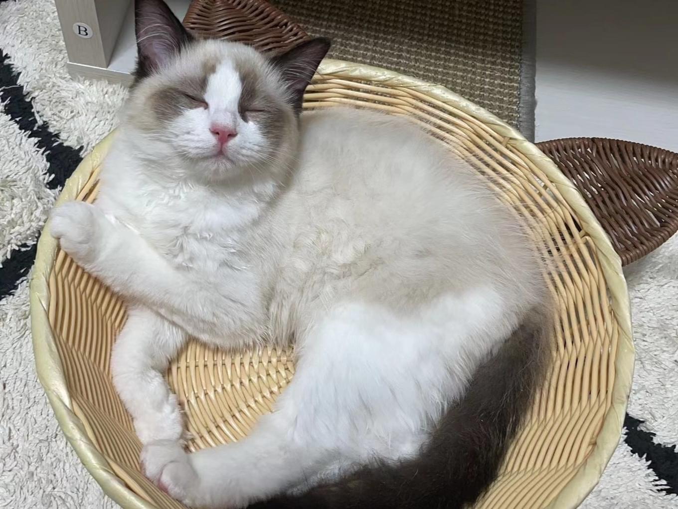 じゅうじゅうちゃん じゅうじゅうちゃん