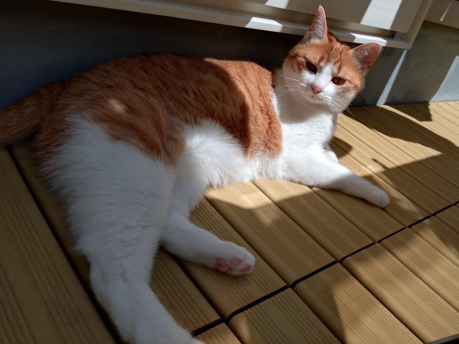 ほたるちゃん ほたるちゃん