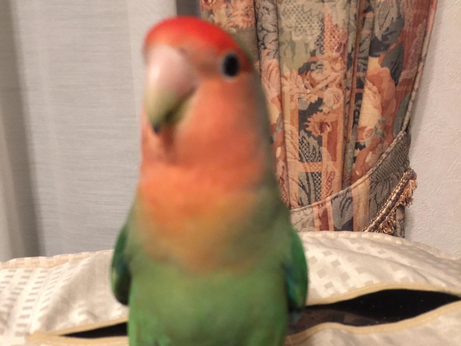 みっちゃん