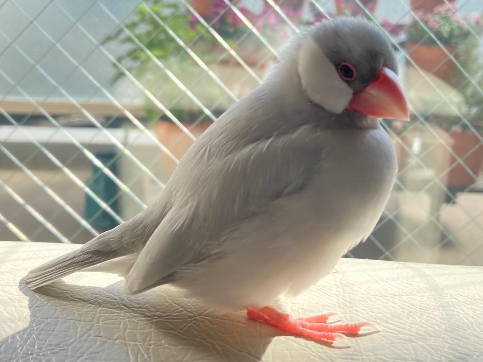 ゆずちゃん ゆずちゃん