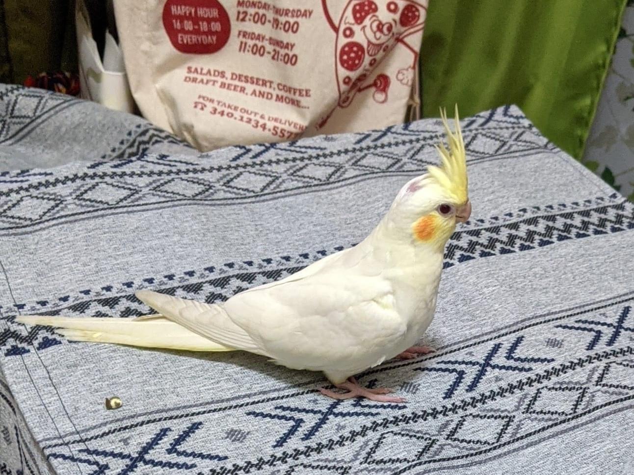 こうめちゃん こうめちゃん