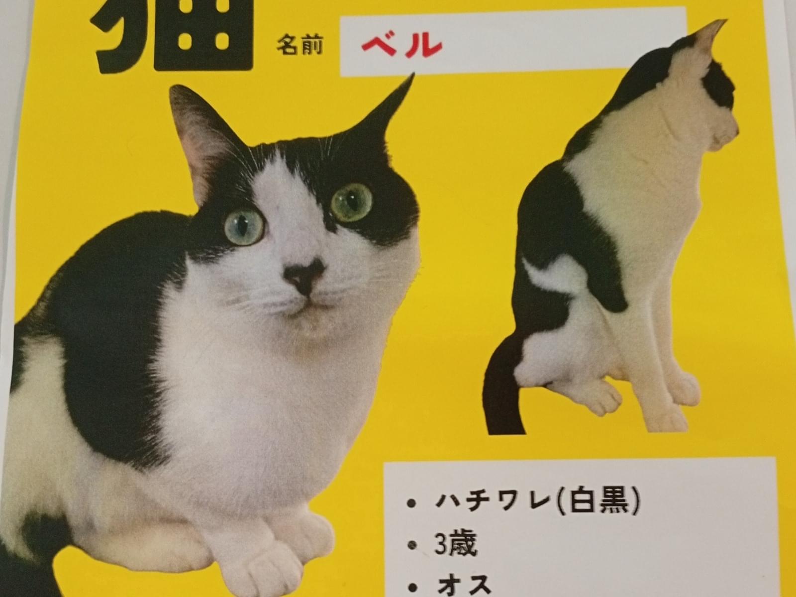 ベルちゃん