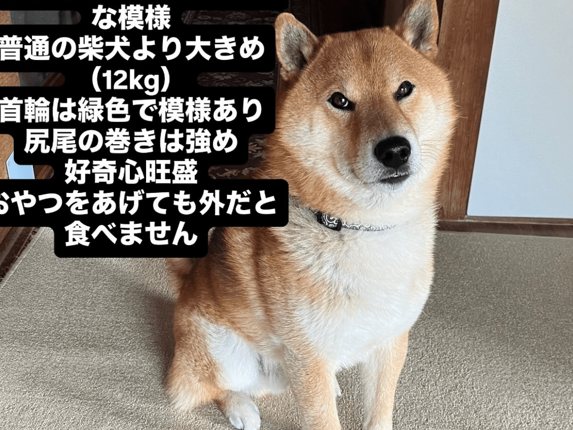 くりちゃん くりちゃん