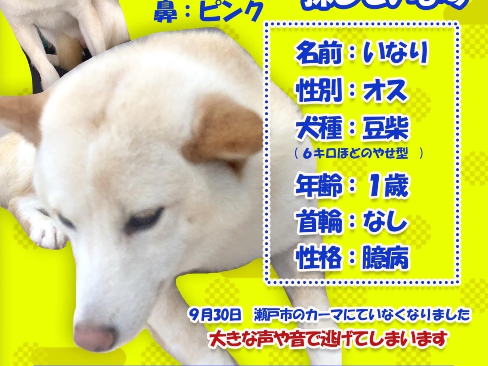 いなりちゃん