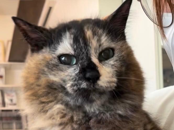 クマちゃん クマちゃん