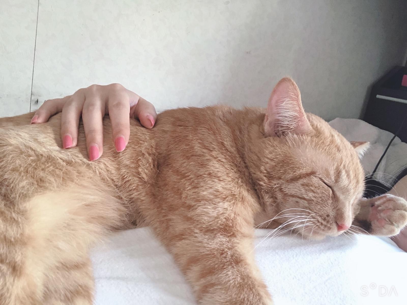 れおちゃん れおちゃん