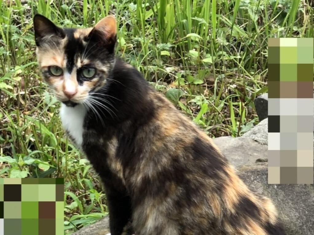 ニコちゃん ニコちゃん