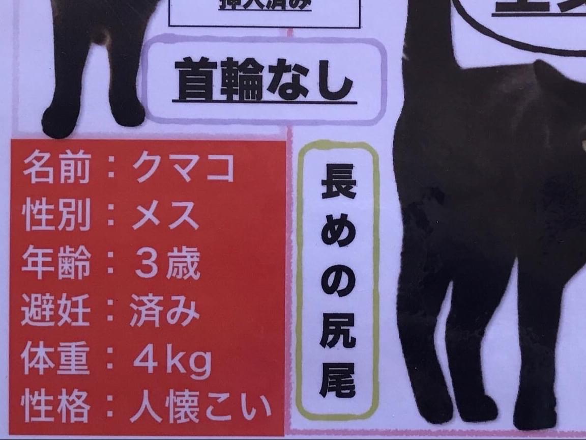 クマコちゃん クマコちゃん