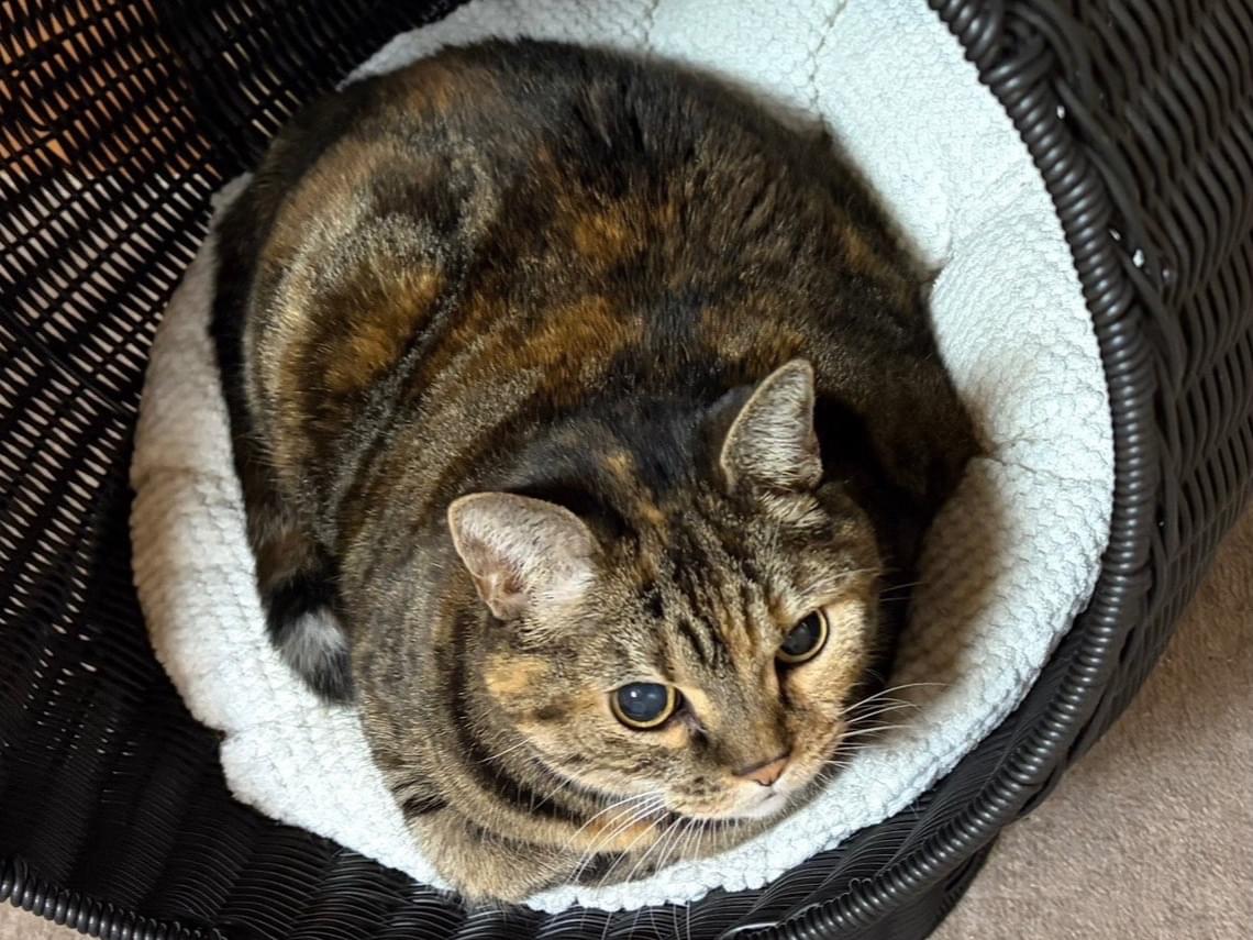 てぃーちゃん てぃーちゃん