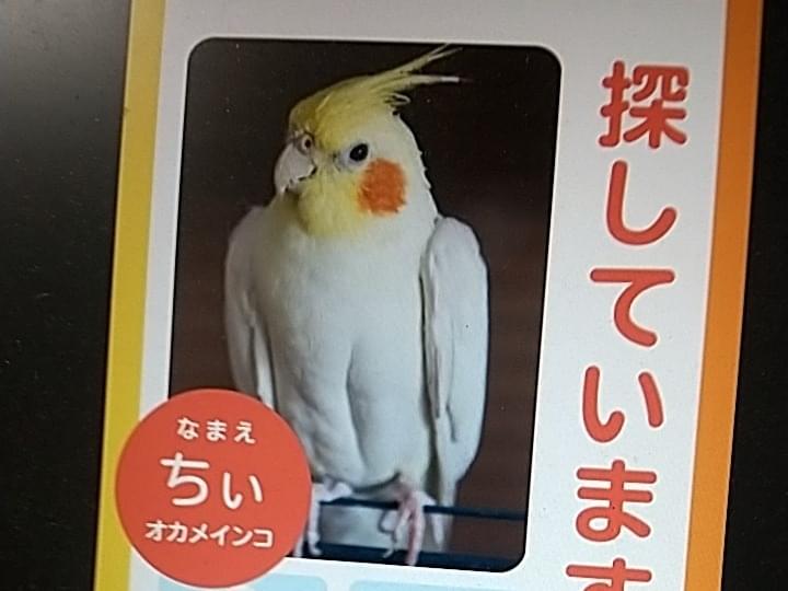 ちぃちゃん ちぃちゃん