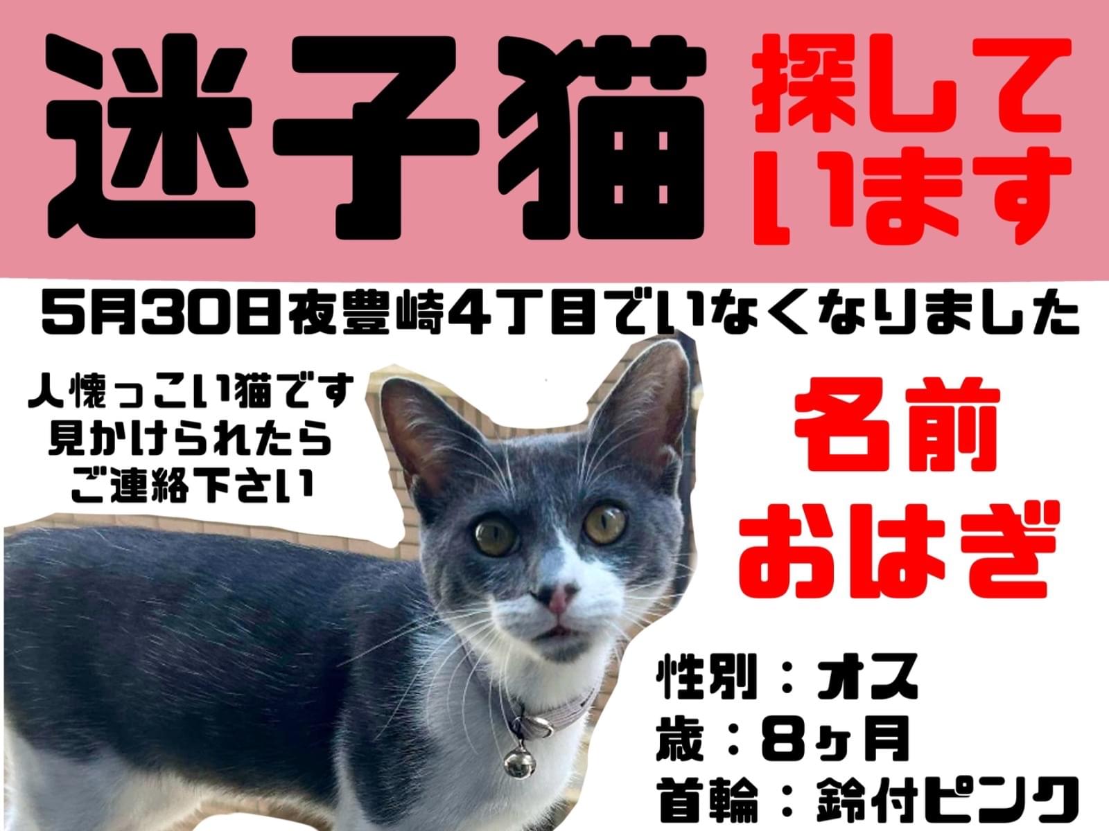 おはぎちゃん おはぎちゃん