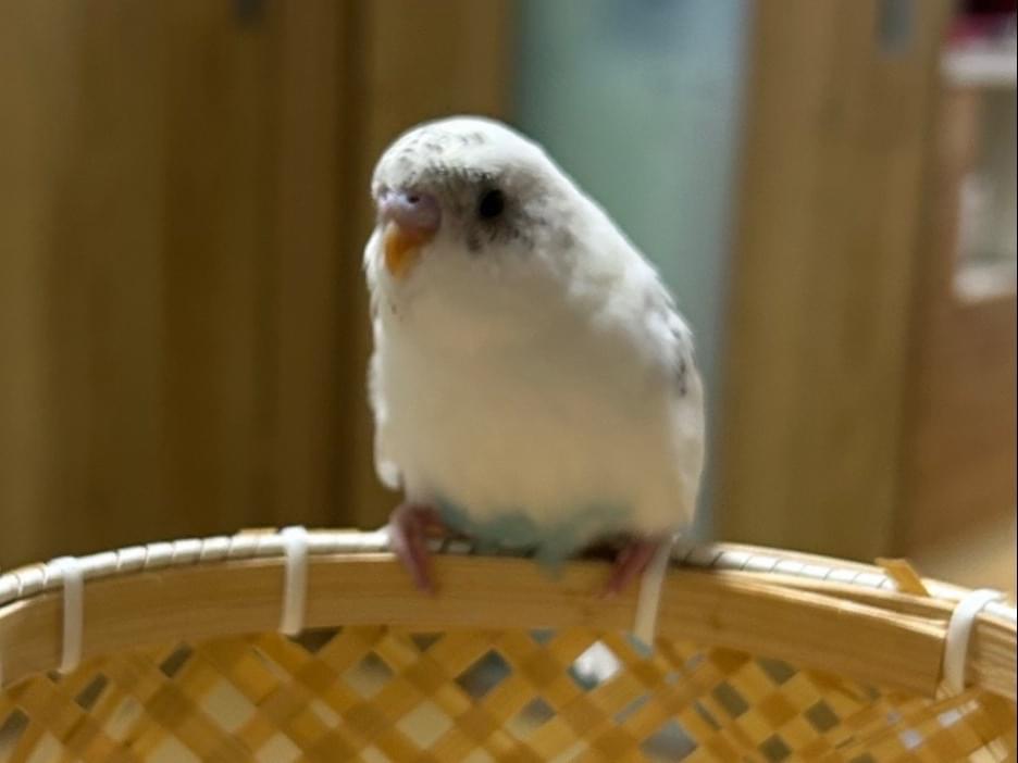 そらちゃん そらちゃん