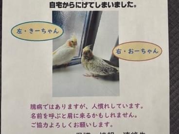 きーちゃんちゃん きーちゃんちゃん