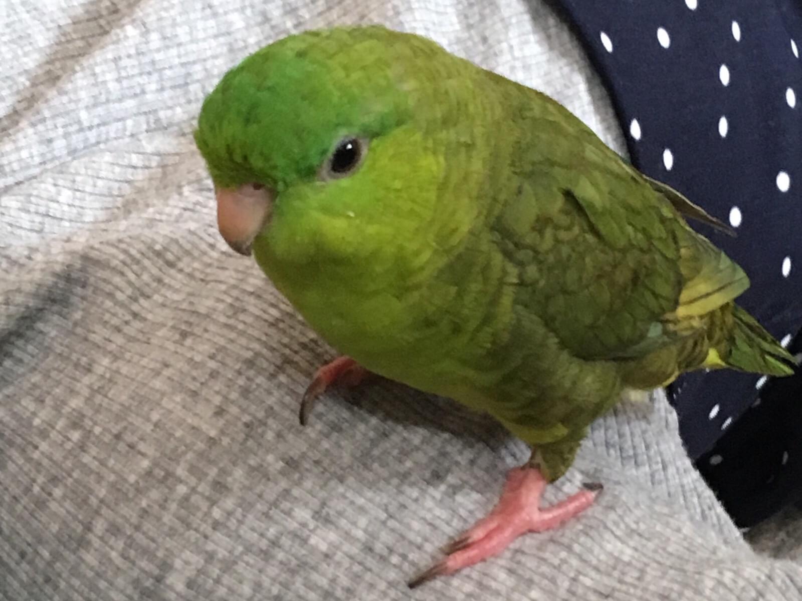 チャン・グンソクちゃん チャン・グンソクちゃん