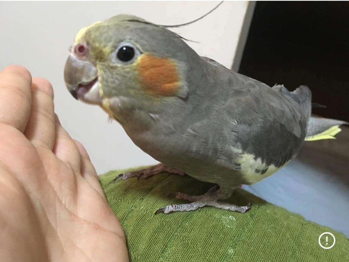 ひまちゃん ひまちゃん
