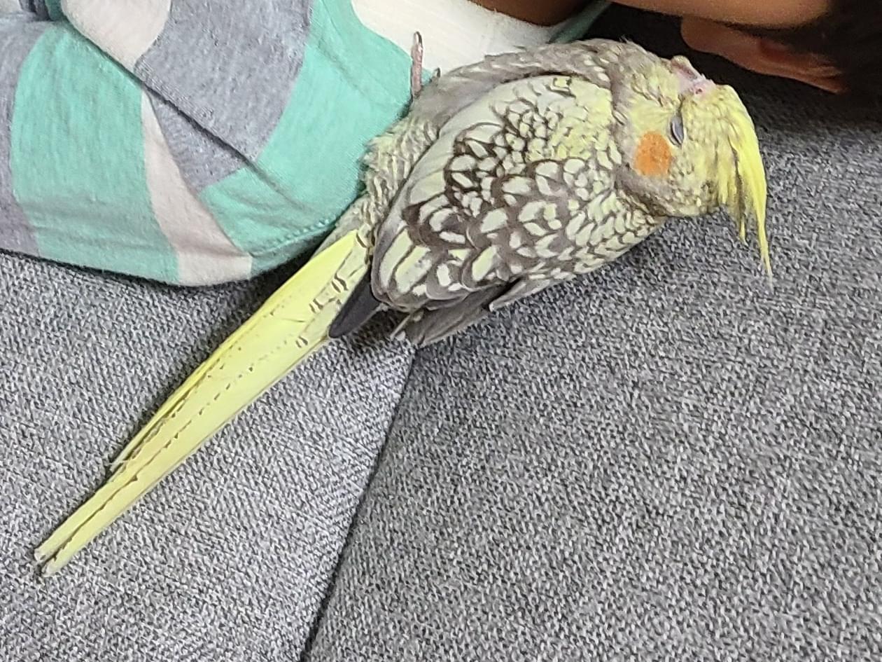 Jちゃん Jちゃん