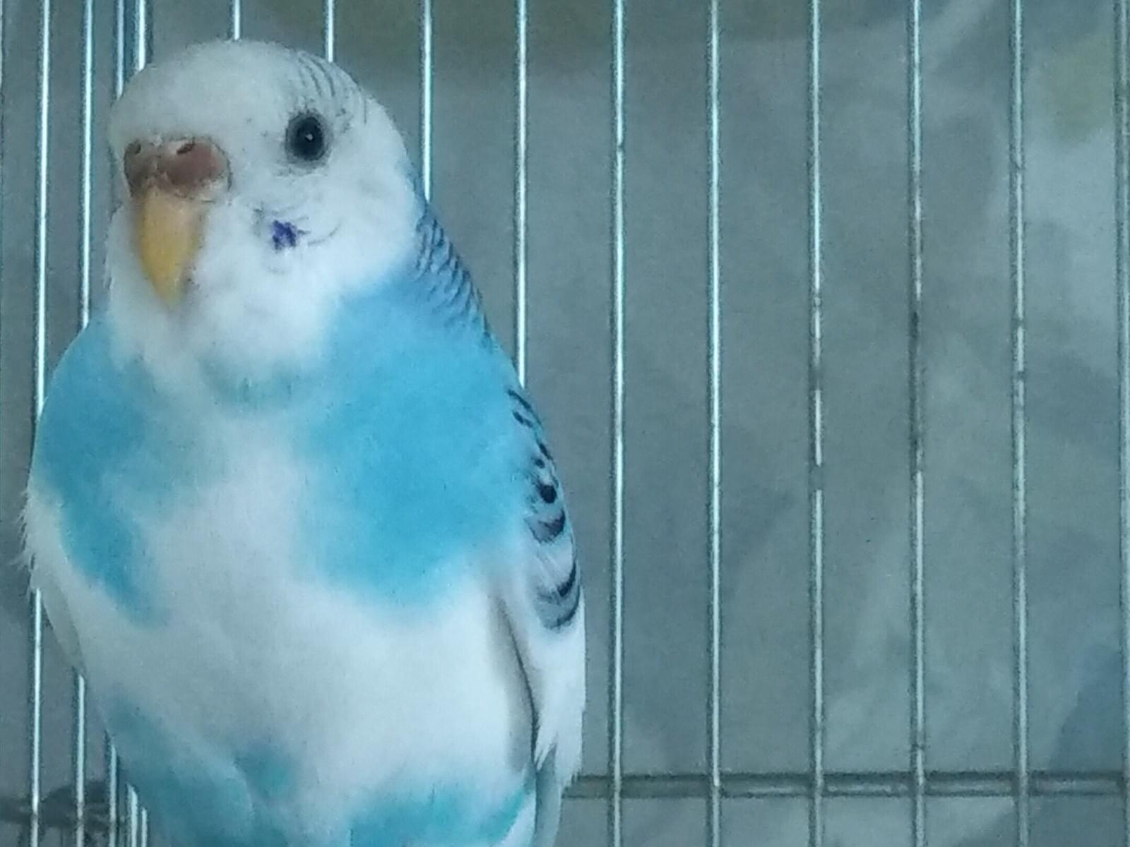くららちゃん くららちゃん