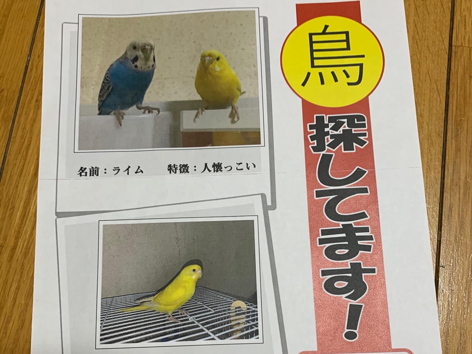 ライムちゃん ライムちゃん