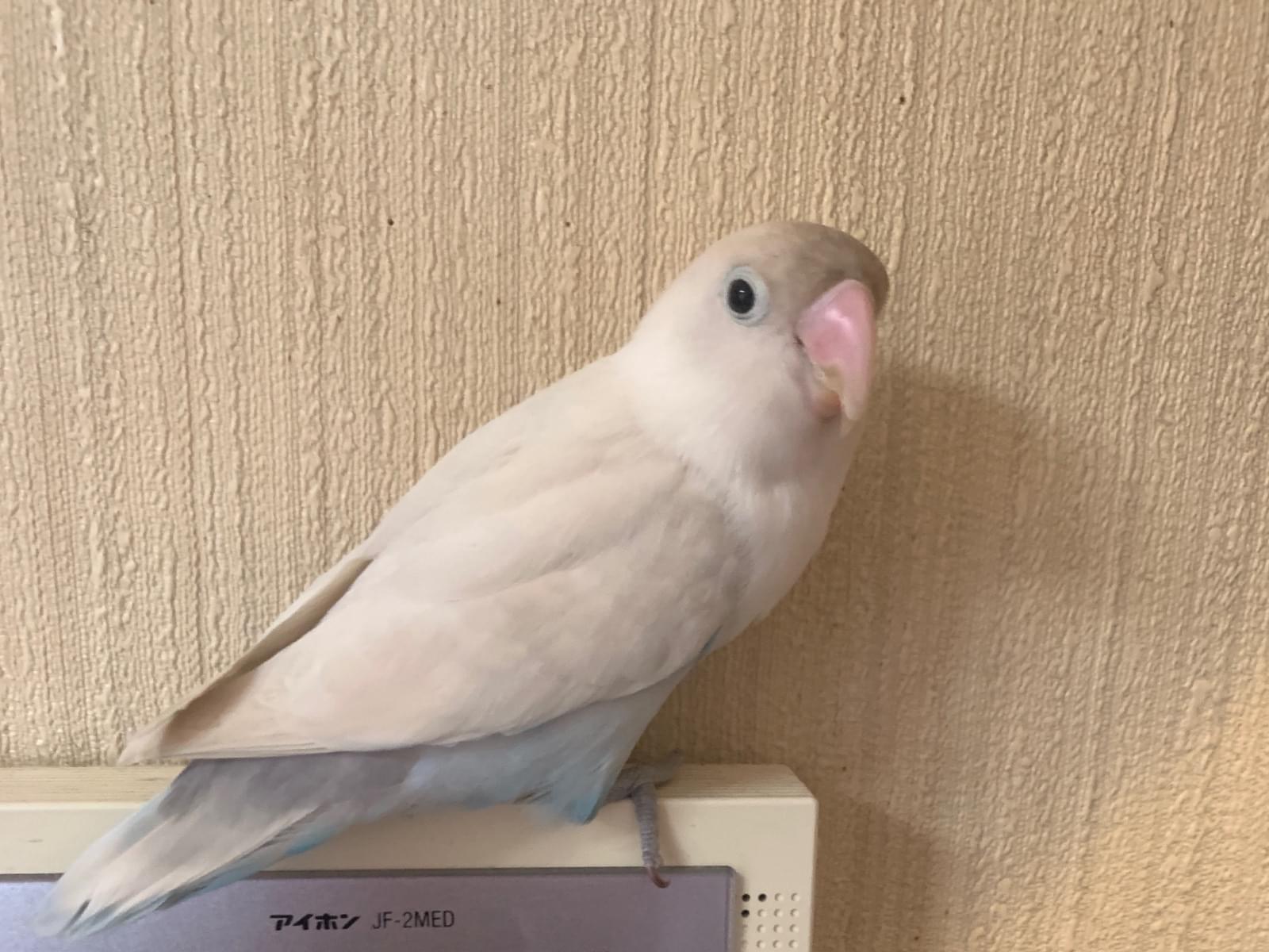 みっちゃん みっちゃん