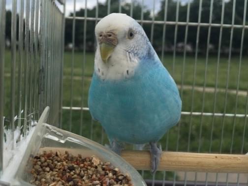 クウちゃん クウちゃん
