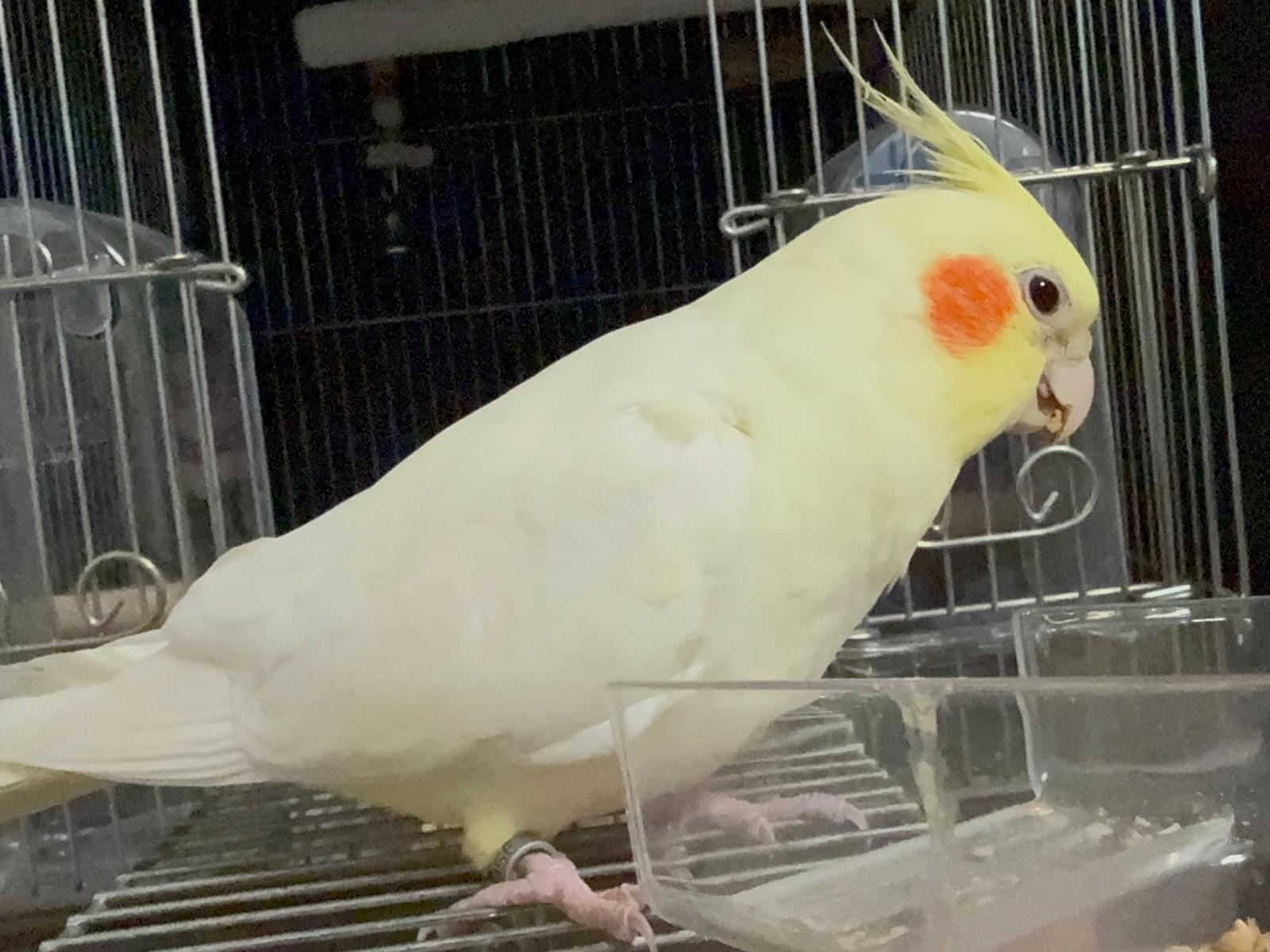 ポタちゃん ポタちゃん