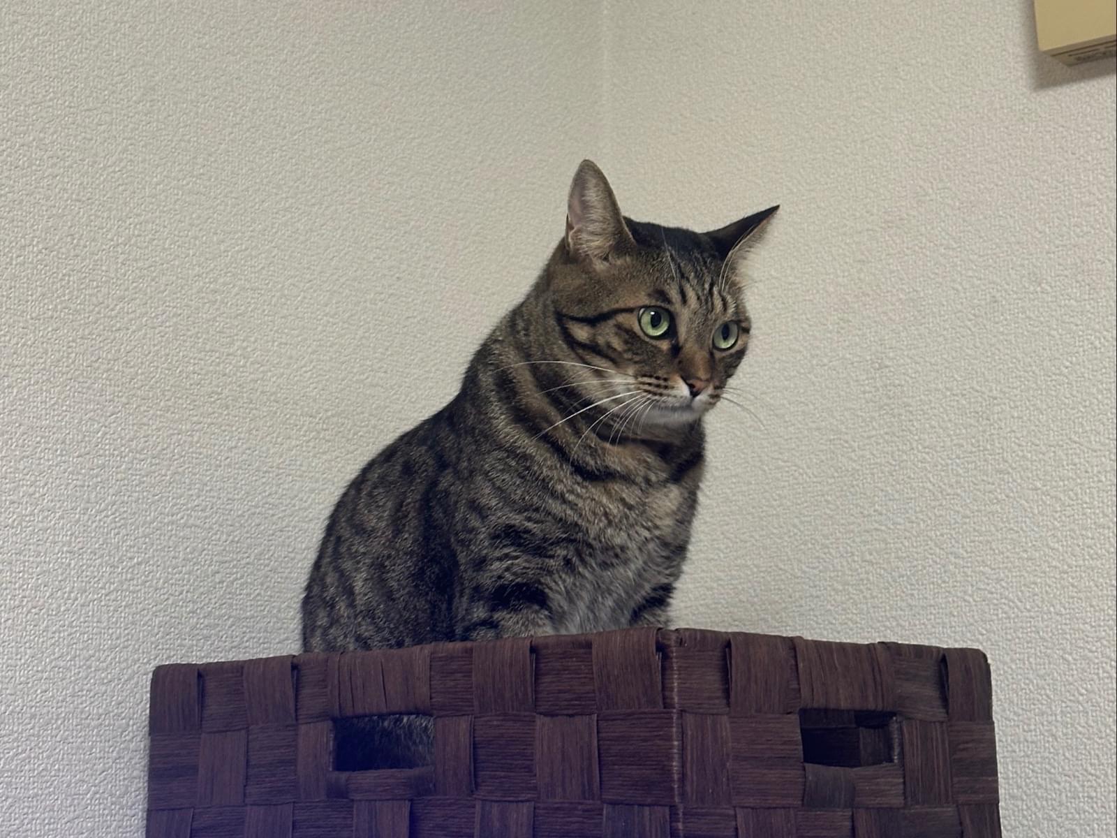 むーちゃん
