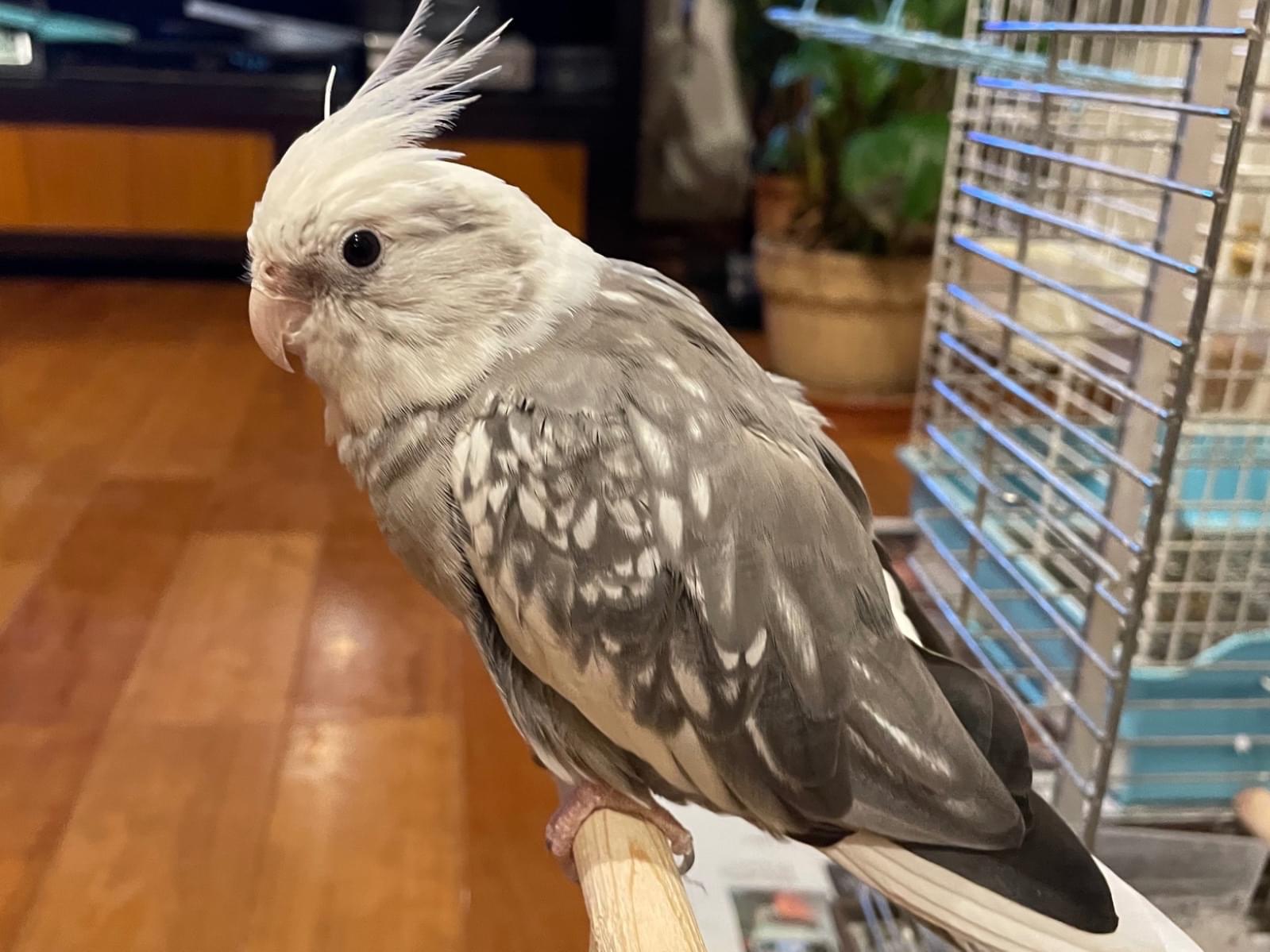 ぐぅ〜ちゃん ぐぅ〜ちゃん