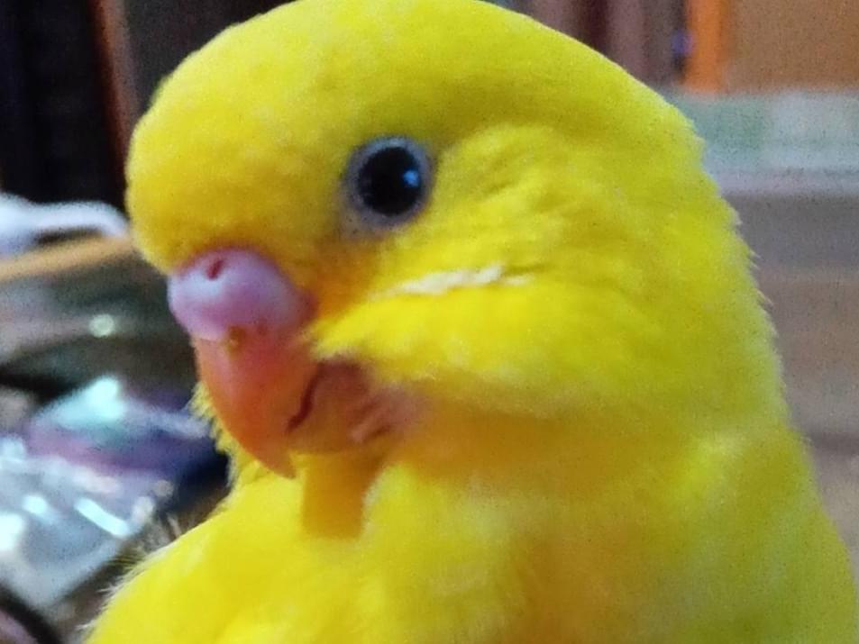 太陽ちゃん 太陽ちゃん