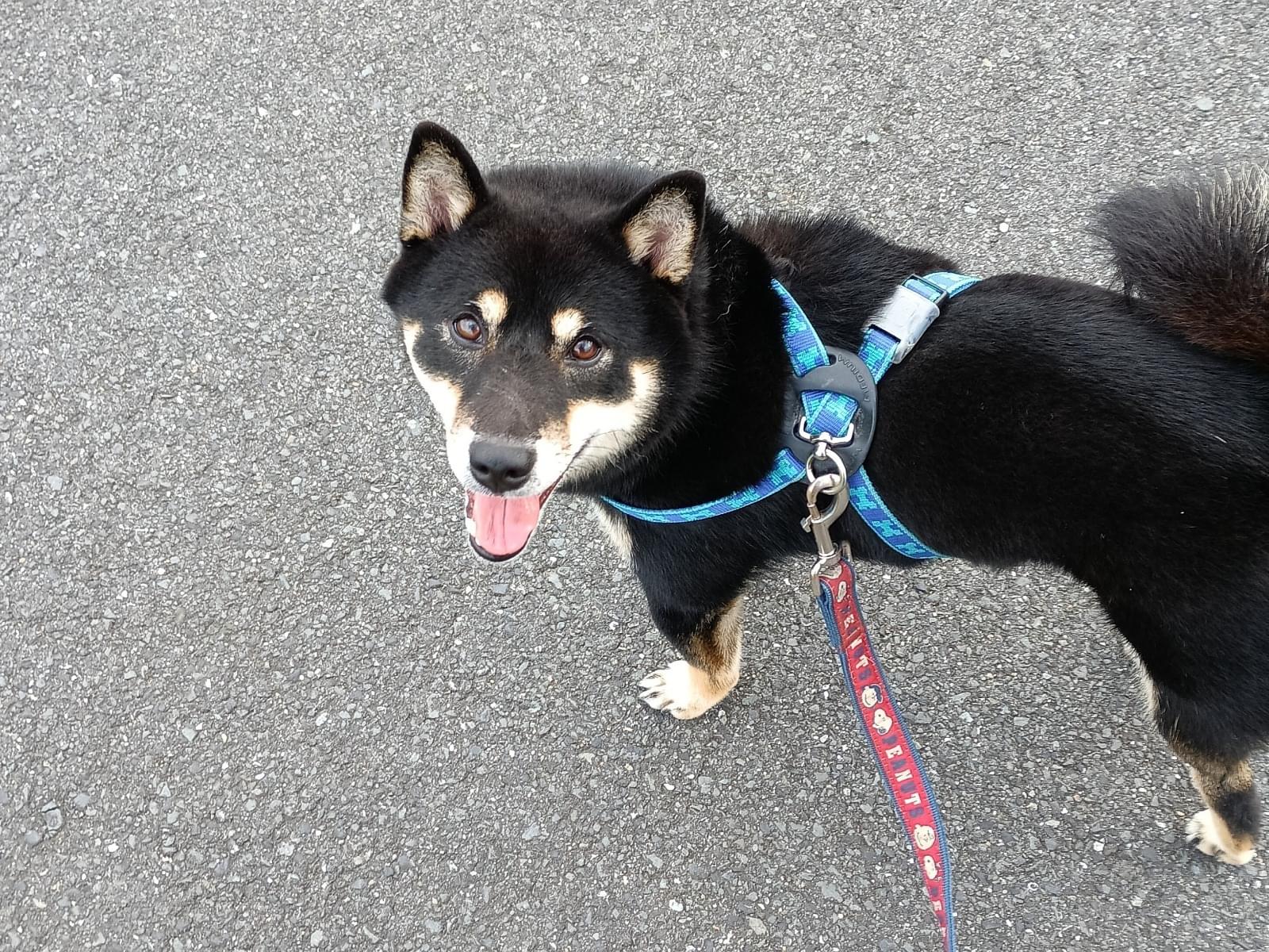 ありちゃん ありちゃん