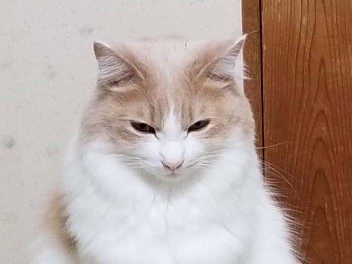天ちゃん 天ちゃん