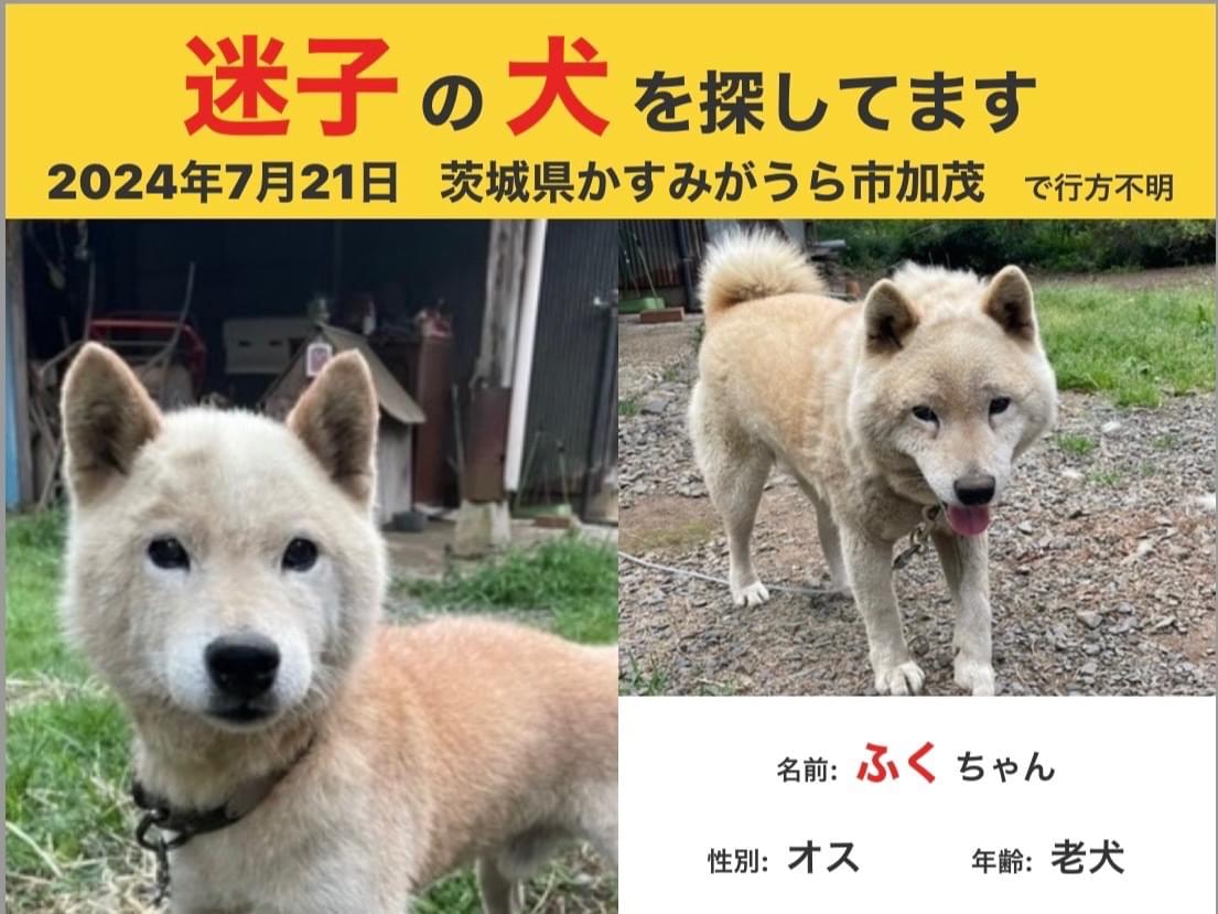 ふくちゃん ふくちゃん