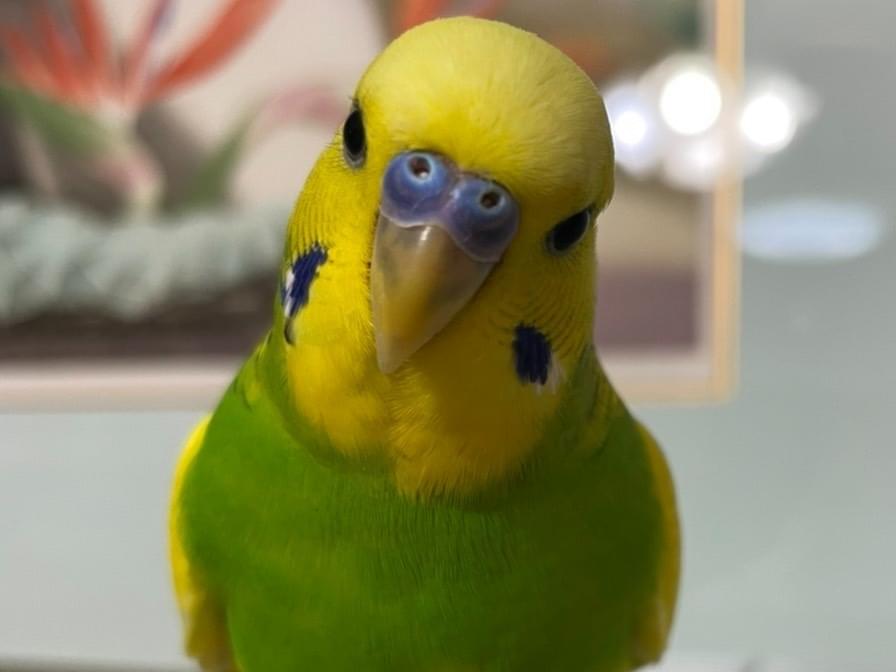 すんちゃん すんちゃん