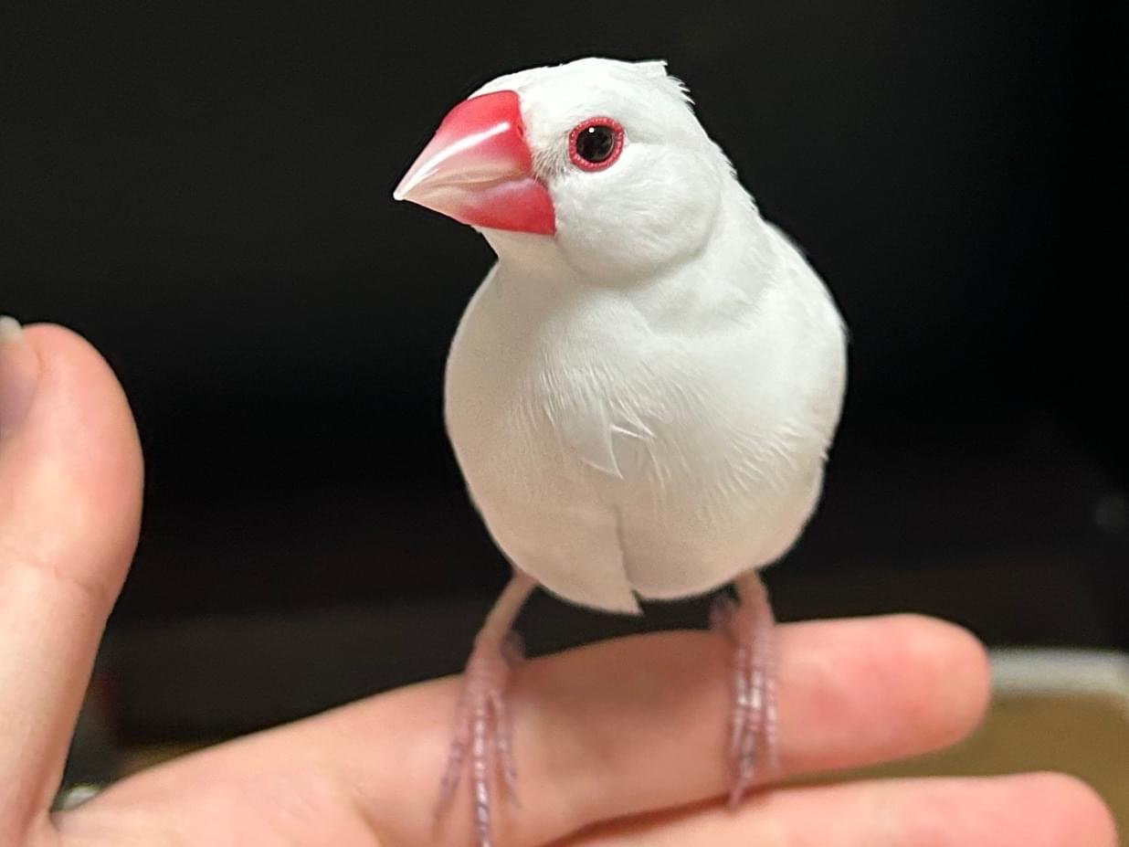 ららちゃん ららちゃん
