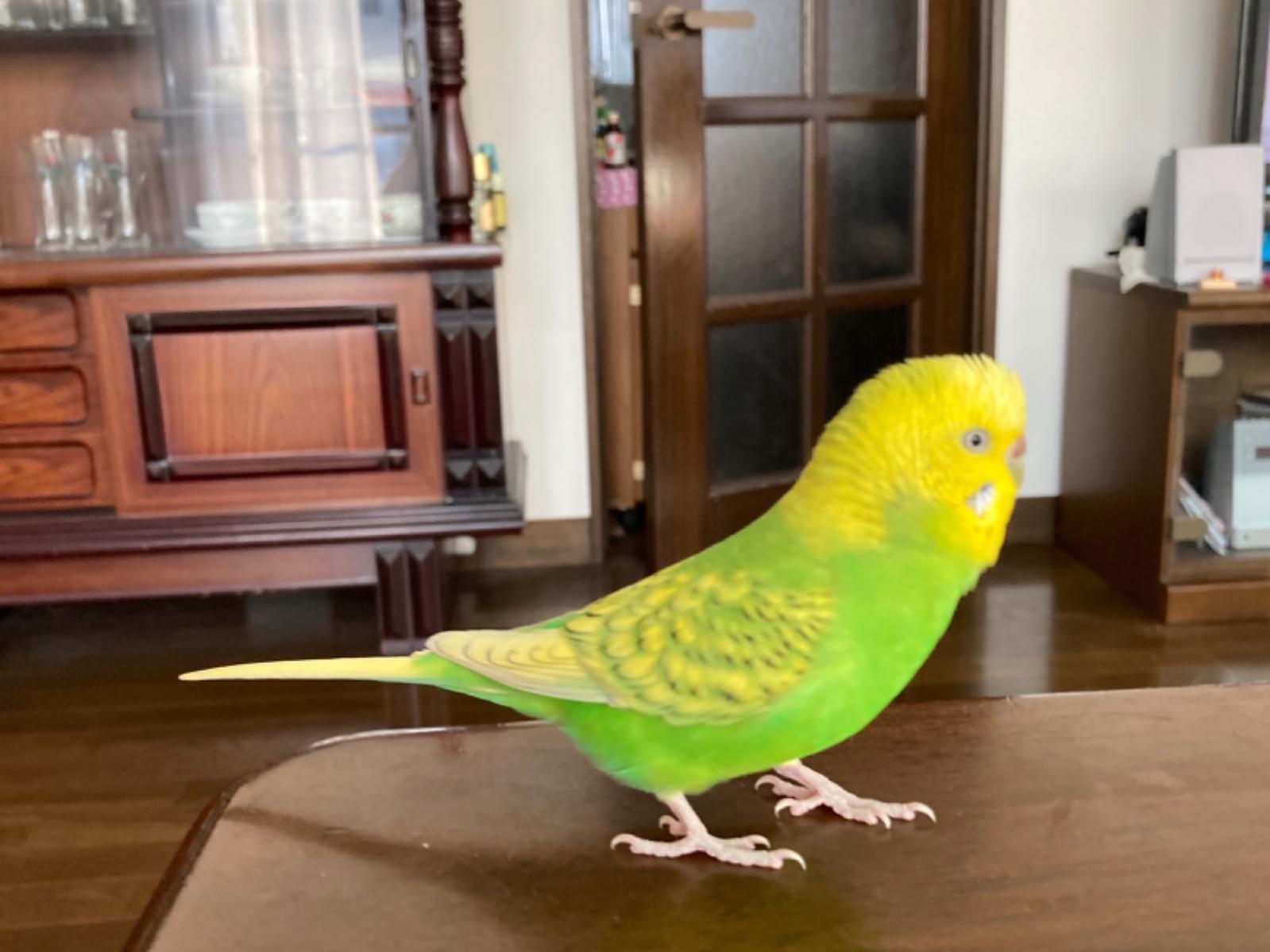 びーちゃん びーちゃん