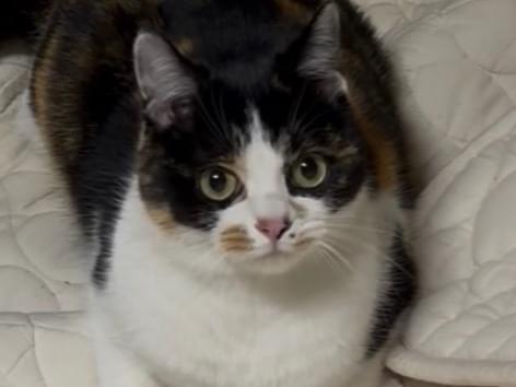 ちびちゃん ちびちゃん