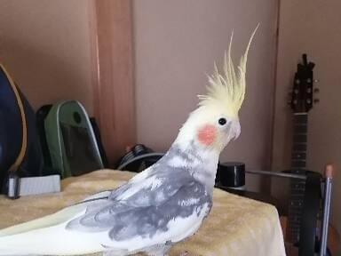 クーちゃん クーちゃん