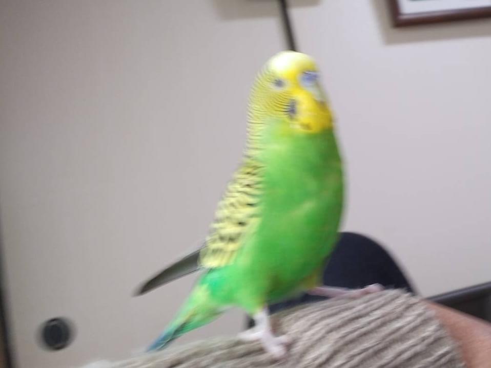 なおたちゃん なおたちゃん