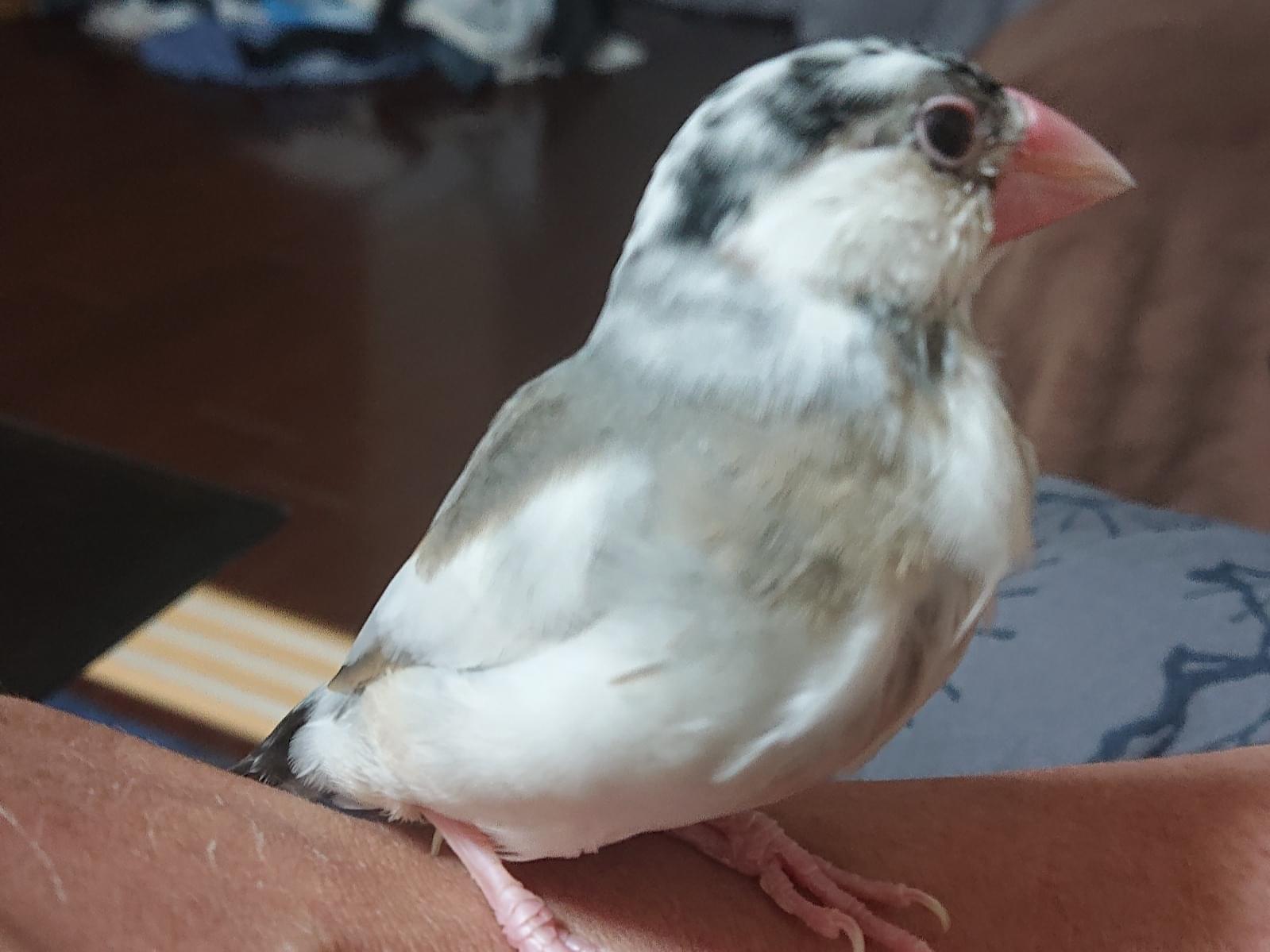 サックちゃん サックちゃん