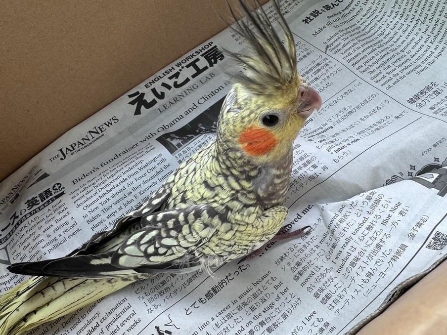 むぅちゃん むぅちゃん