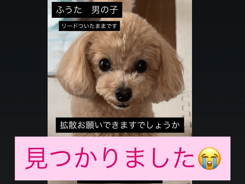 ふうたちゃん
