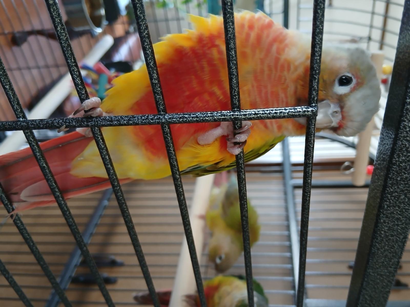 モーリちゃん